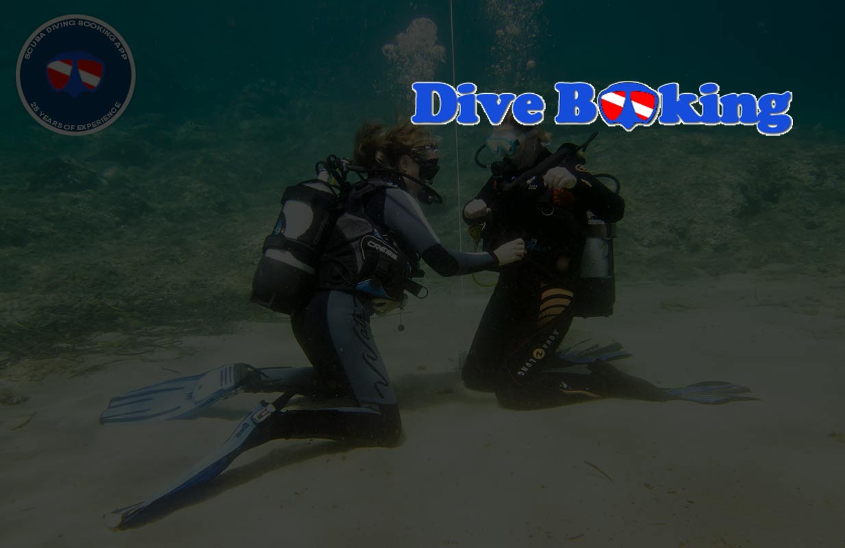 dive center management